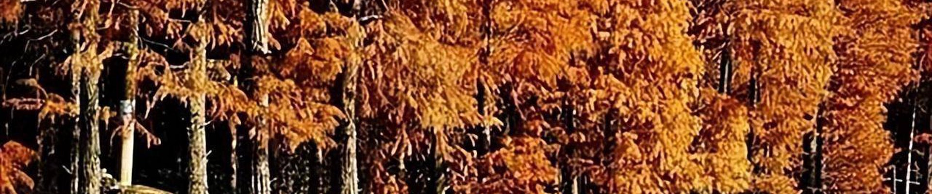 球盟会·QMH (体育)-官方网站